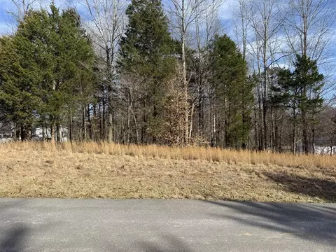 0 Pea Ridge Rd, Scottsville, KY 42164