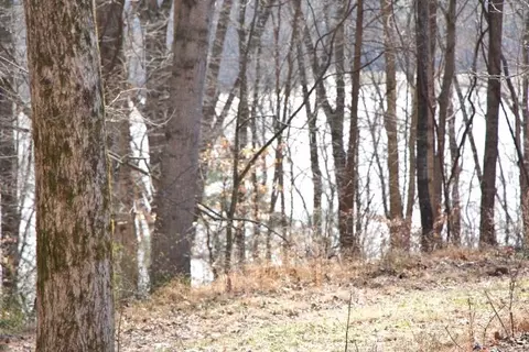 lot S 26 27 Cherokee Rd, Lucas, KY 42156