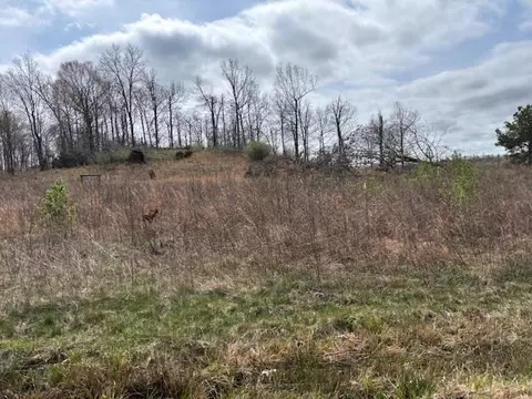 lot2 Robinson Ln, Greenville, KY 42345