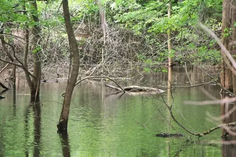 355 Cherokee Rd, Lucas, KY 42141