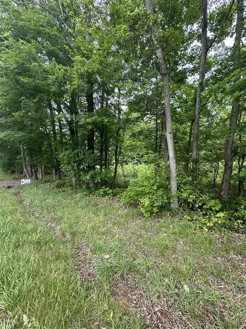 4711 Caneyville Rd, Morgantown, KY 42261