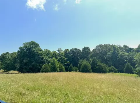 11 3 Acres Phelps Dunham Rd, Edmonton, KY 42129