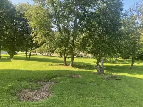 lot2 Paradise Rd, Greenville, KY 42345
