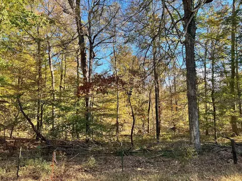 lot16 Gainesville Port Oliver Rd, Scottsville, KY 42164