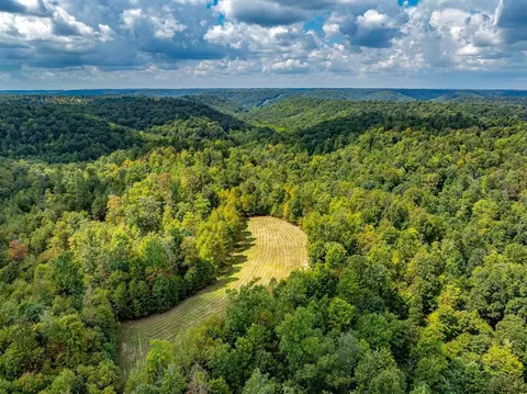 1335 Greenbriar Rd, Wallingford, KY 41093