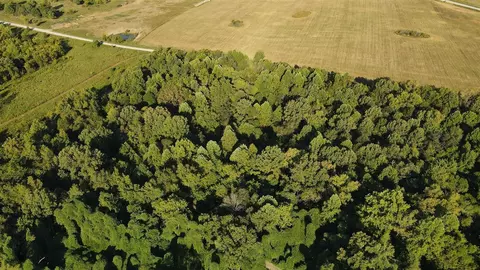 0 Carter Ferry Rd, Centertown, KY 42328