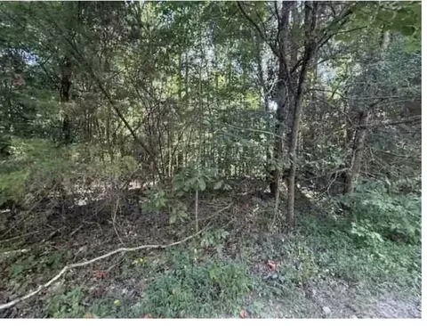 2235 Larry Hunt Rd, Raywick, KY 40060