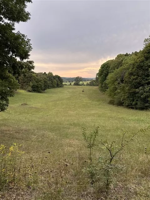 Durham Springs Road, Scottsville, KY 42164
