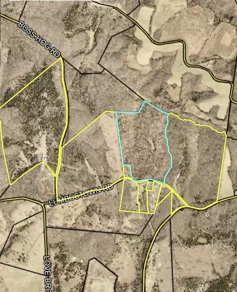 0 Lumbustown Rd, Morgantown, KY 42261