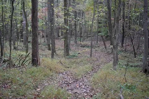 401 Moxley Ln, Fordsville, KY 42343