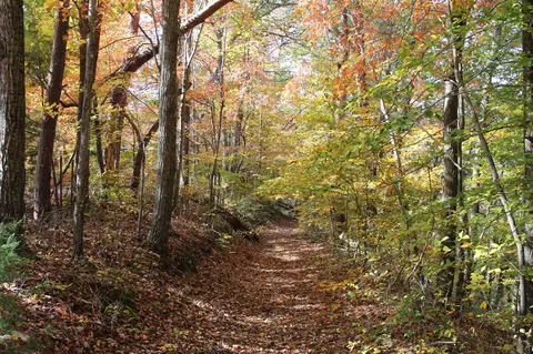 1 Gosser Ridge Spur, Russell Springs, KY 42624
