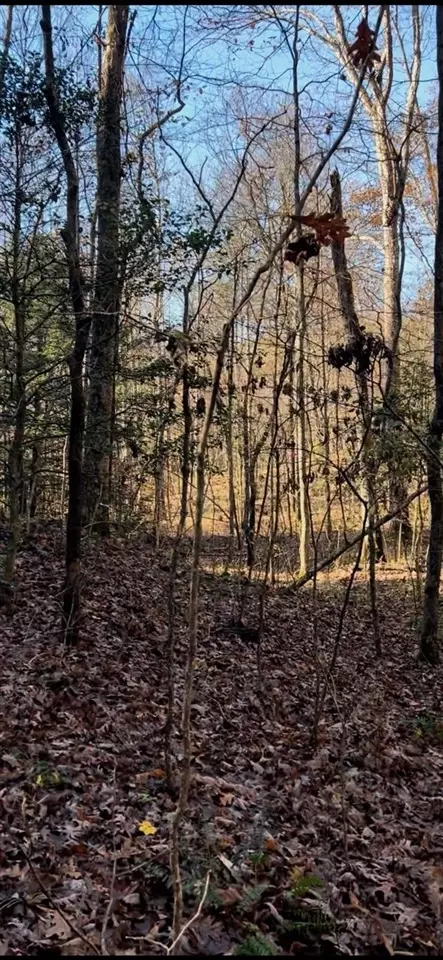 0 Mohawk Rd, Smiths Grove, KY 42171