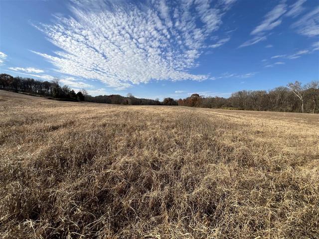 117 71 Acres Cemetery Rd, Scottsville, KY 42164