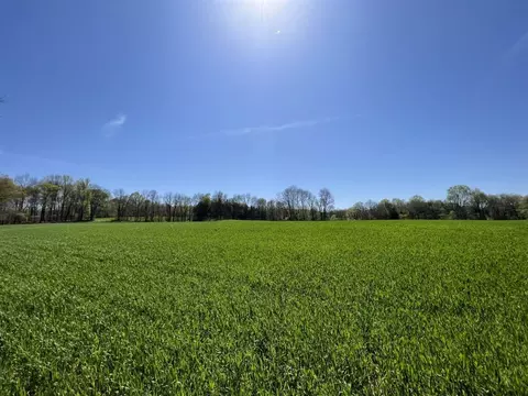 172 Acres Spears Rd, Scottsville, KY 42164