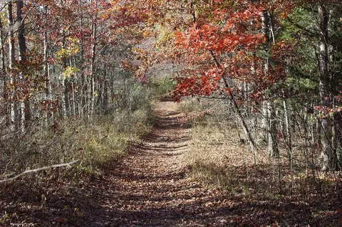 0 Dead End Trail Rd, Garrison, KY 41141