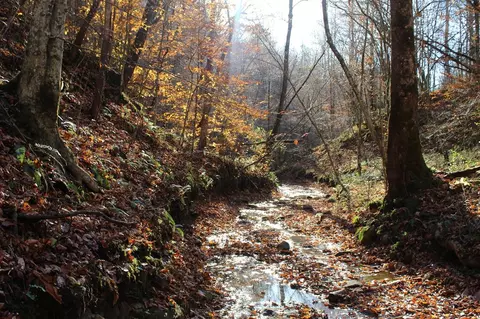 0 Middle Fork Greasy Creek Rd, Boons Camp, KY 41204
