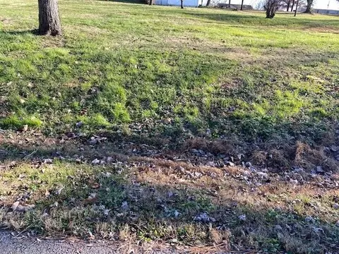 lot1 Goose Hollow St, Drakesboro, KY 42337