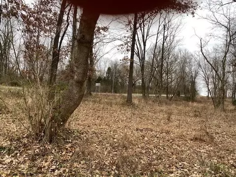 lot2 John Prine Ave, Drakesboro, KY 42337