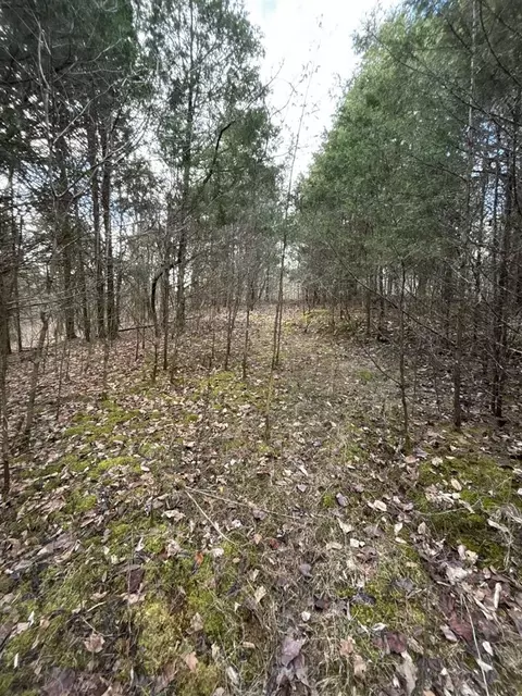 Ac Old Kessler Ridge Road, Tompkinsville, KY 42167