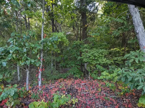 0 Brookwood Dr, Bowling Green, KY 42101