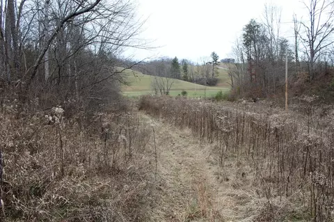 1065 Blaze Rd, West Liberty, KY 41472
