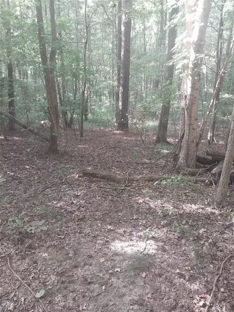 0 Duncan Ln, Central City, KY 42330