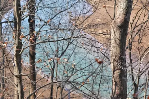 lot41 R Runaway Dr, Fountain Run, KY 42133