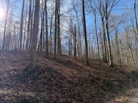 2791 Region Rd, Roundhill, KY 42275