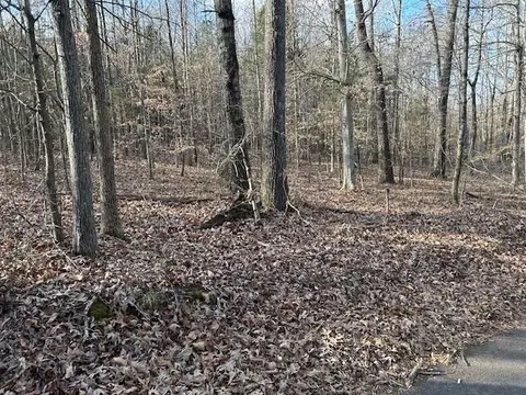 Huff Lane, Scottsville, KY 42614