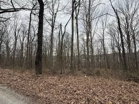 0 Pitcher Rd, Morgantown, KY 42261