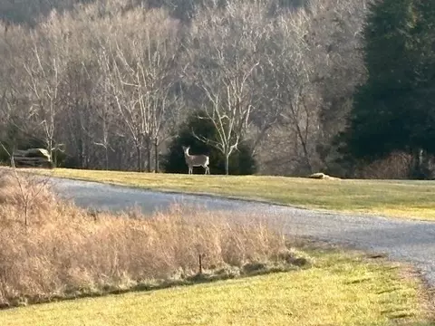 lot15 Megans Way, Burkesville, KY 42717
