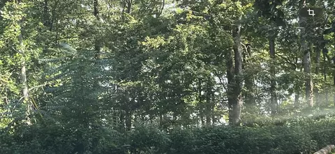 450 Payne Rd, Park City, KY 42160