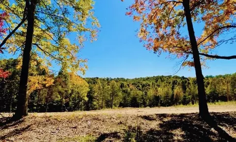 4 State Park Road, Burkesville, KY 42717