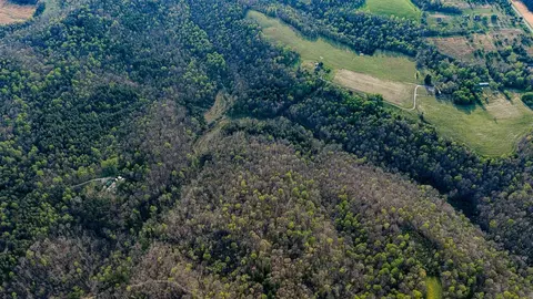 0 Vincent Rd, Bee Spring, KY 42207 photo 7
