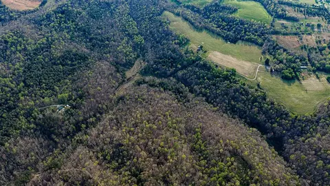 0 Vincent Rd, Bee Spring, KY 42207 photo 8