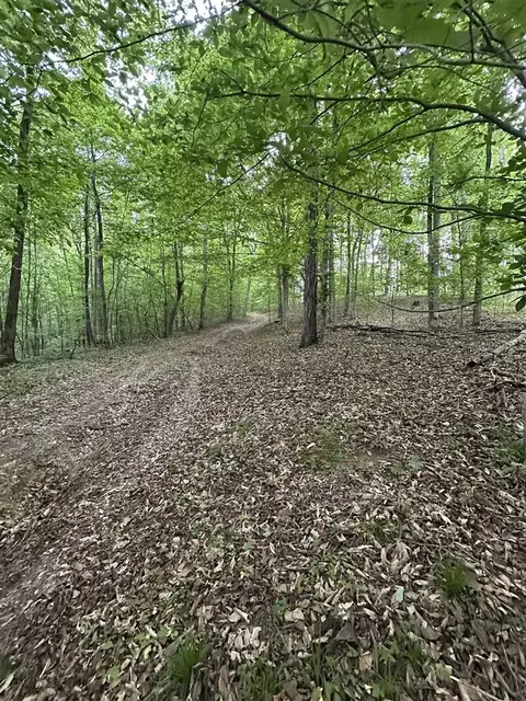 Burnley Road, Scottsville, KY 42164