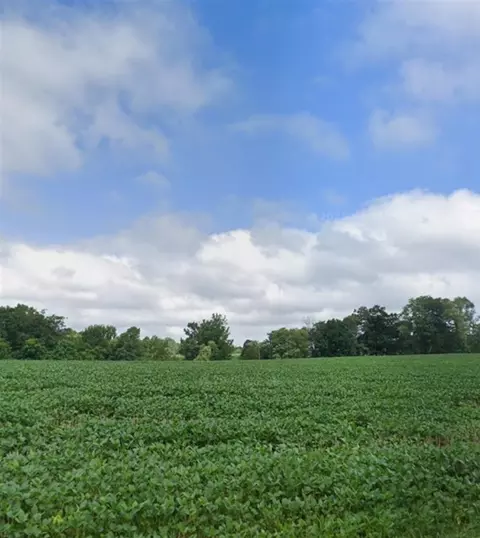 0 Providence Church Rd, Russell Springs, KY 42642