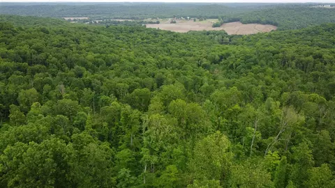 48 Acres Marvin Powell Rd, Elkton, KY 42220
