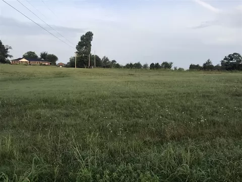lot1 3 Smiths Grove Scottsville Rd, Oakland, KY 42159