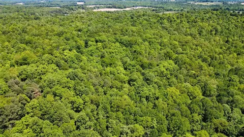 0 State Route 919, Fordsville, KY 42343