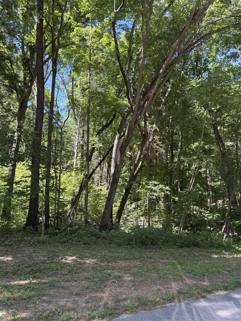 330 Stone Bluff Ln, Alvaton, KY 42122