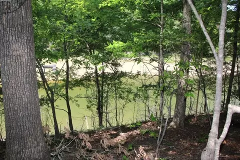 lot Apt 41 Hurt Ln, Scottsville, KY 42164