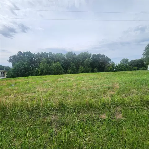 0 Smiths Grove Church Rd, Adairville, KY 42202