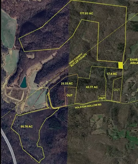 0 Holston Hollow Rd, Morgantown, KY 42261