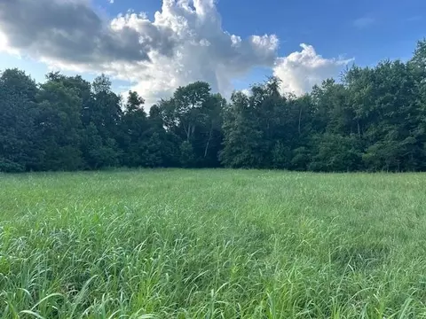 0 Toohey Ridge Rd, Cave City, KY 42127