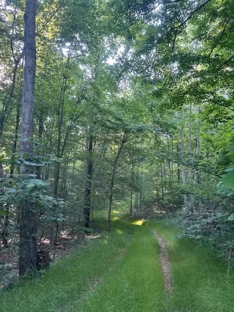 00 Greenbrier Rd, Breeding, KY 42715