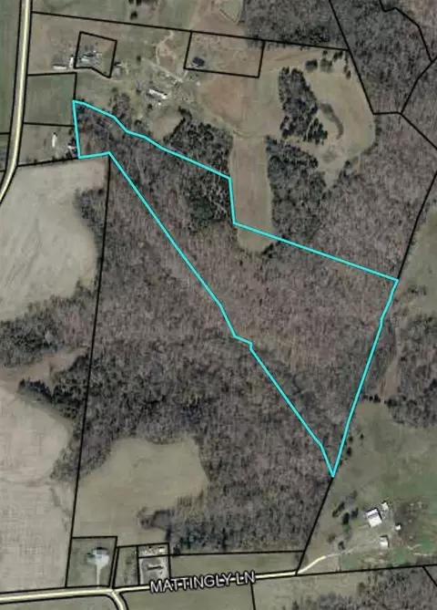 0 Sadler Rd, Leitchfield, KY 42754