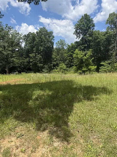 lot2 Pig Rd, Smiths Grove, KY 42171