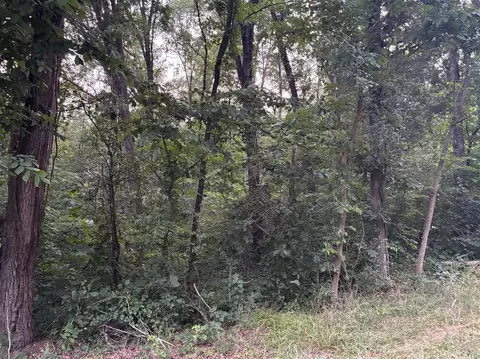 lot4 Pig Rd, Smiths Grove, KY 42171