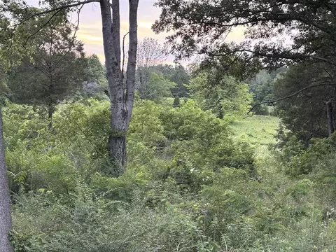 lot5 Pig Rd, Smiths Grove, KY 42171
